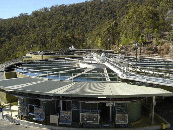 Project Update - Mudgeeraba Sewage Treatment Plant